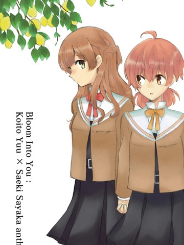 关于佐侑