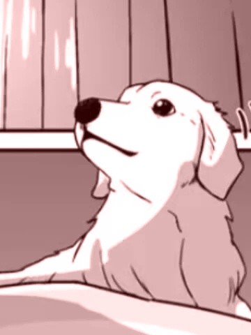 爱犬变成人了
