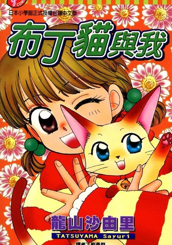 布丁猫与我